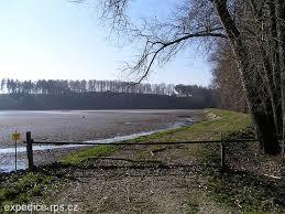 Polický rybník