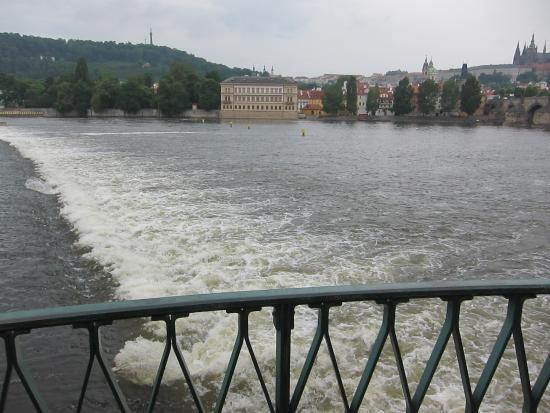 Smetana Statue